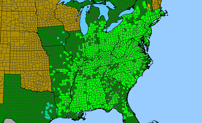 The range of Liriodendron tulipifera